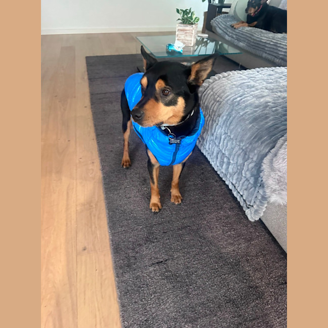 Photo of Ponzi