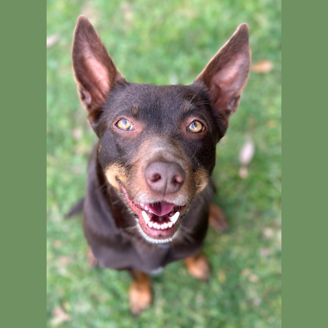 Photo of Billie Jean