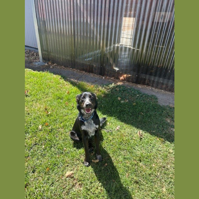 Photo of Betty