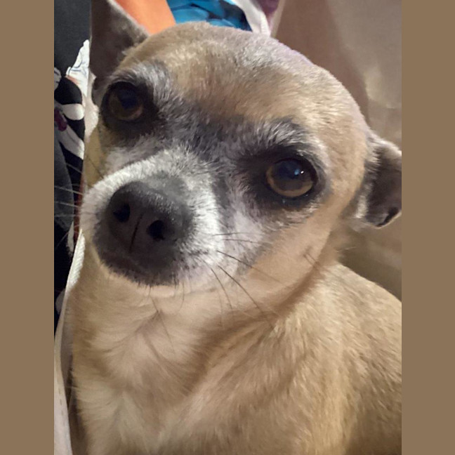 Photo of Goose And Stevie Uffelman