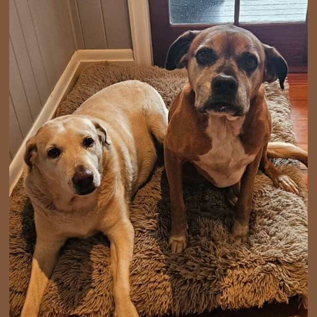 Photo of Riley And Lola