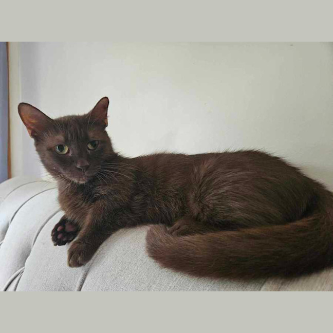 Photo of Trixx Aka Munchie