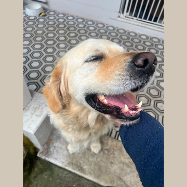 Photo of Digger