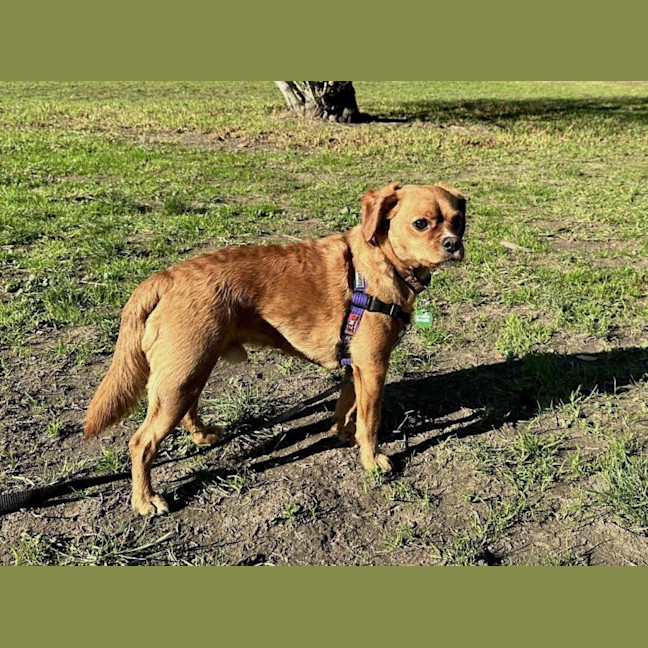 Photo of Toby Quinnell