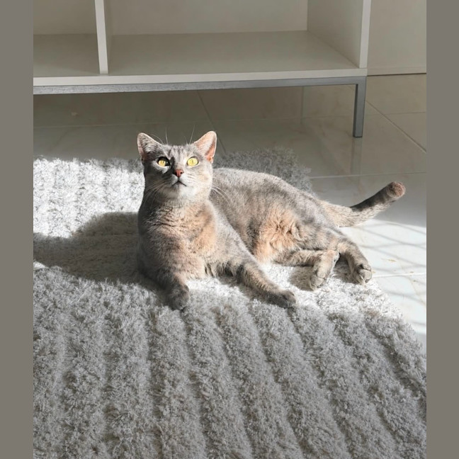 Photo of Olivia