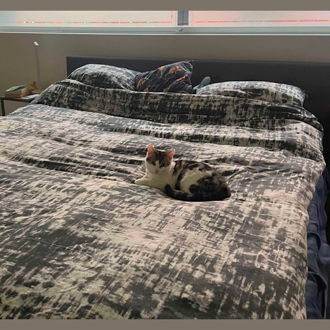 Photo of 🩷 Hattie 🩷