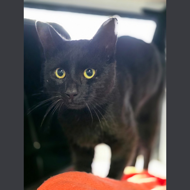Photo of Bruce