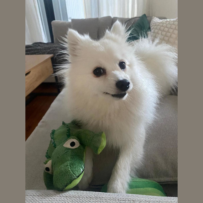 Photo of Saidee
