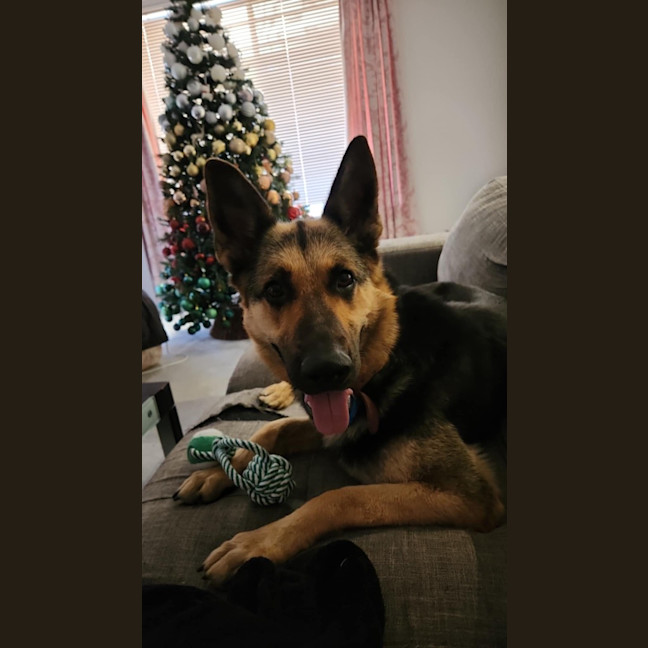 Photo of Lola