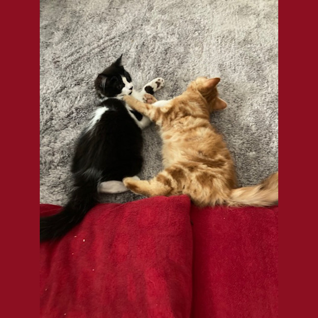 Photo of Gretel Moriarty