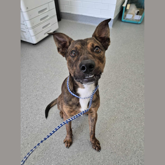 Photo of Toohey! 🍻