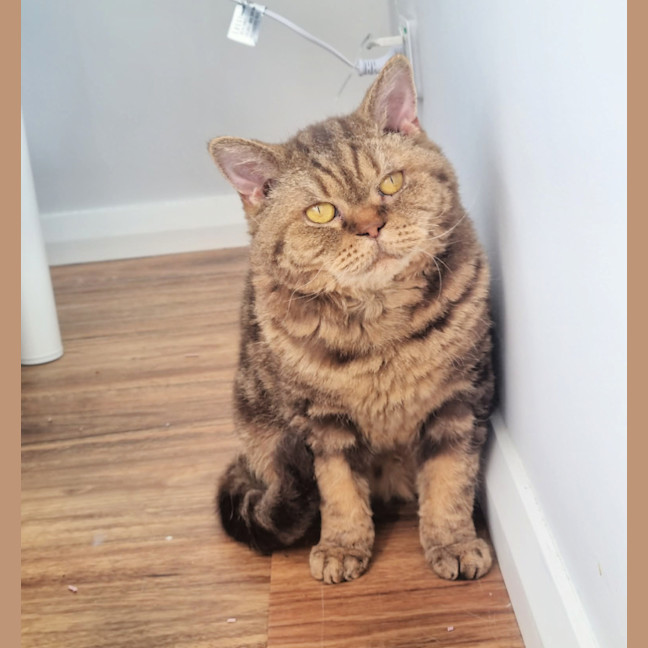 Photo of 🥜Carmen🥜