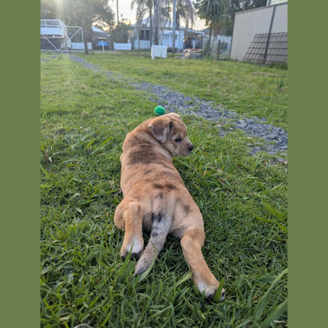 Photo of Squish