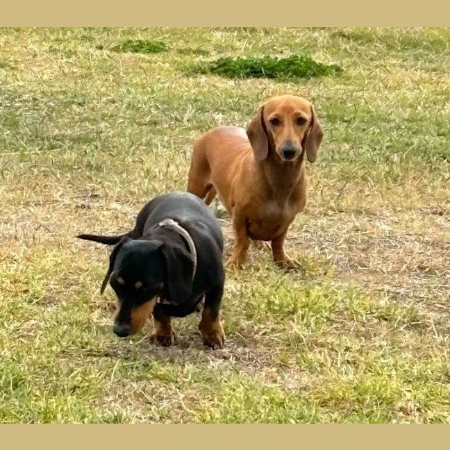 Photo of Betty And Dobbie