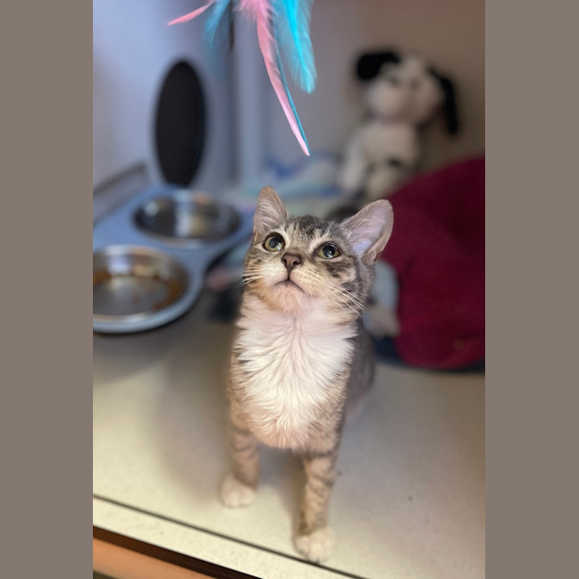 Photo of Wendy
