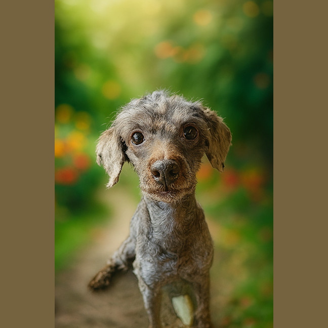Photo of Sam