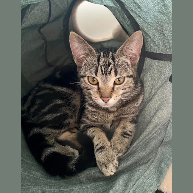 Photo of Winnie