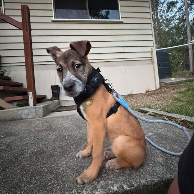 Photo of Ernie