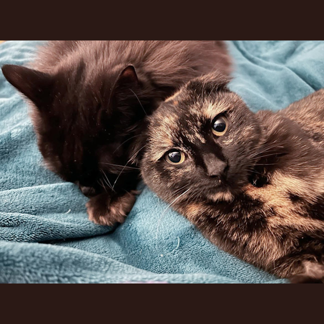 Photo of 🍹Paloma🍹