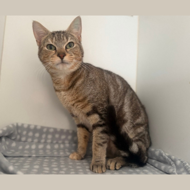 Photo of Meg