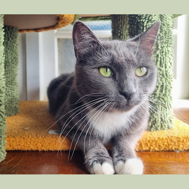 Photo of Phrada 🌒