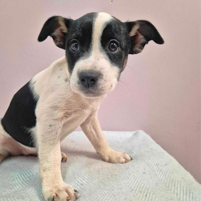 Photo of Angel Islington 