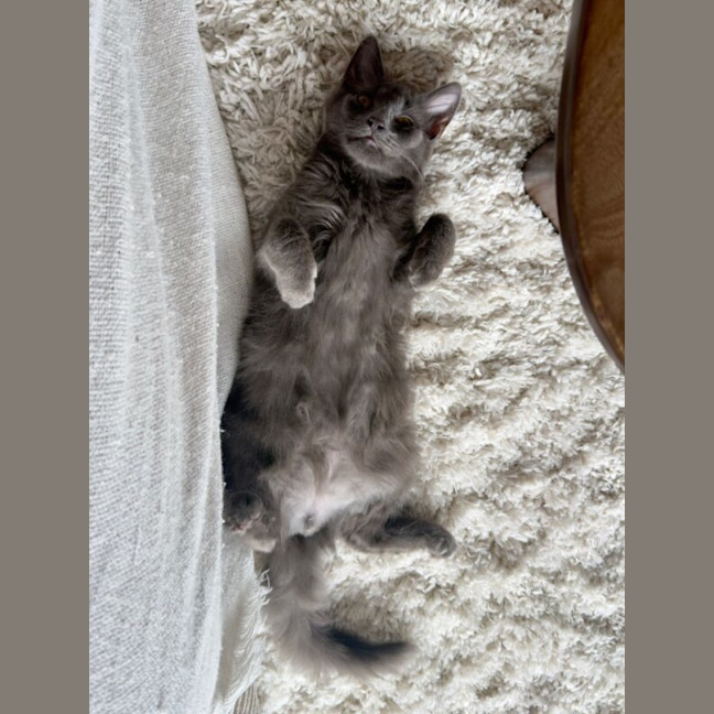 Photo of Earl Grey