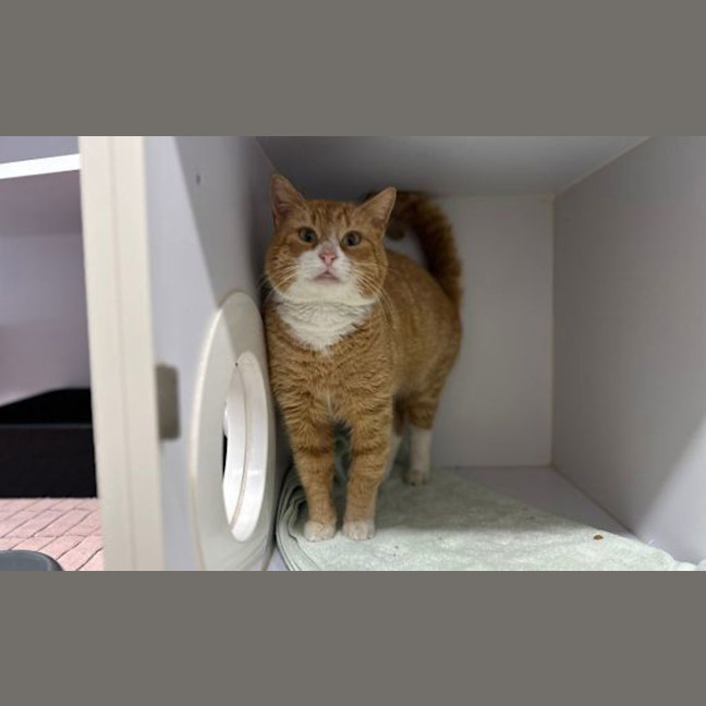 Photo of Pudge