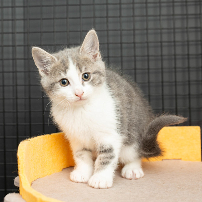 Photo of Cloud