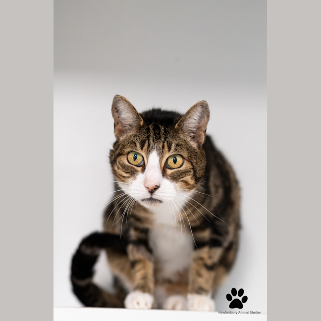 Photo of Harley