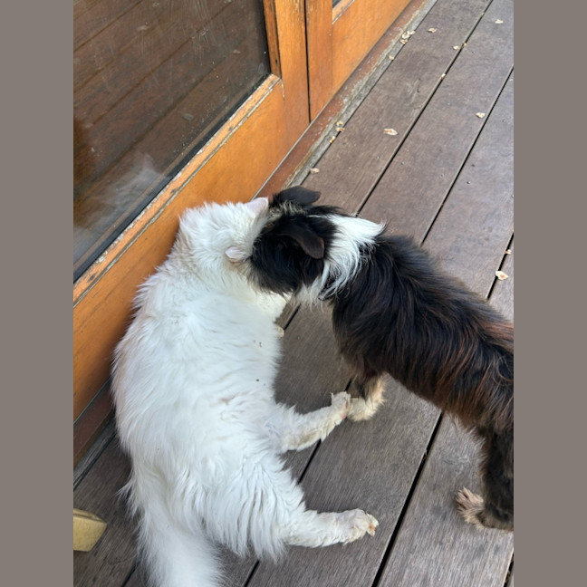 Photo of Toots