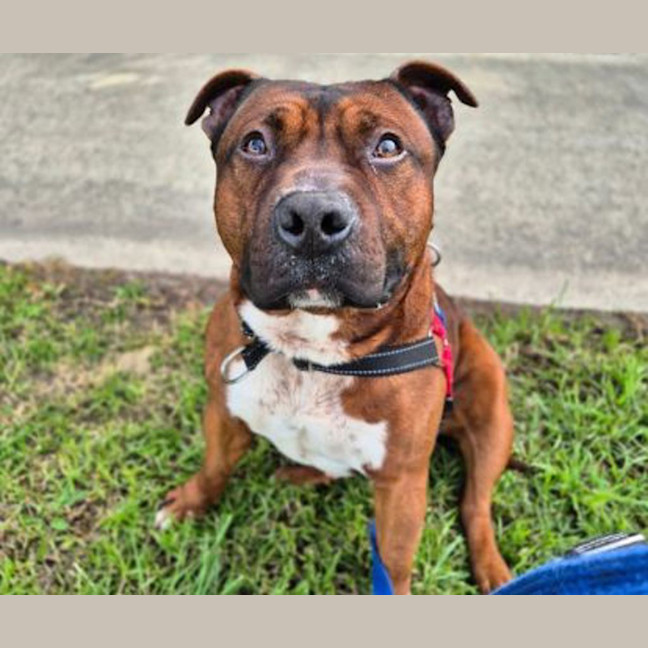 Photo of Tyson