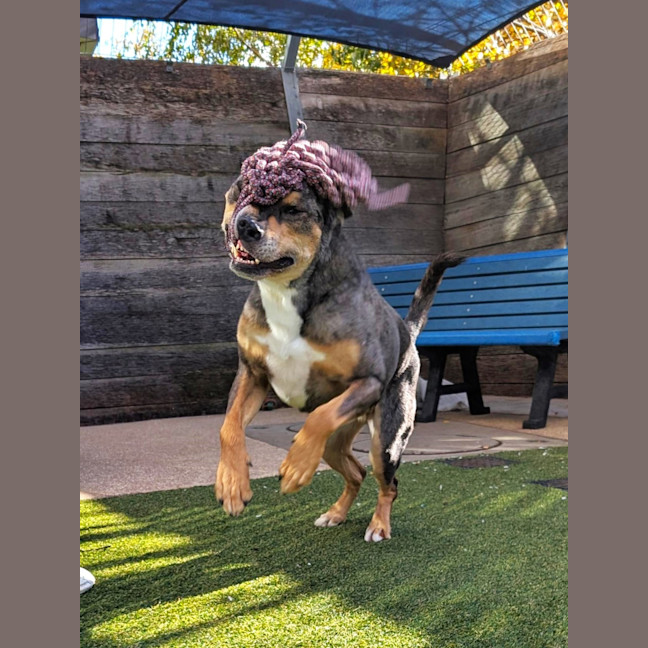 Photo of Storm