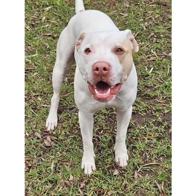 Photo of Jasper