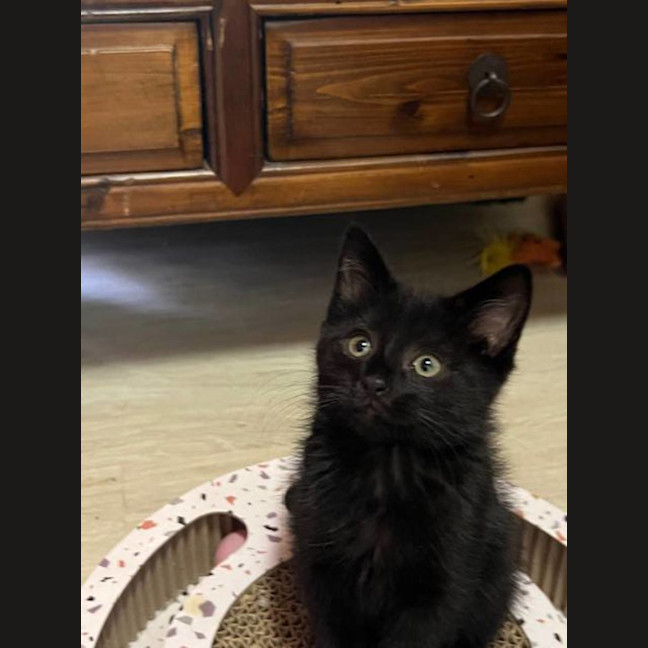 Photo of Bonnie