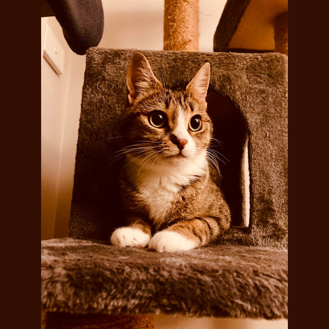 Photo of Kaiya