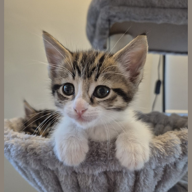 Photo of Amber & Arlee 🌷🌷