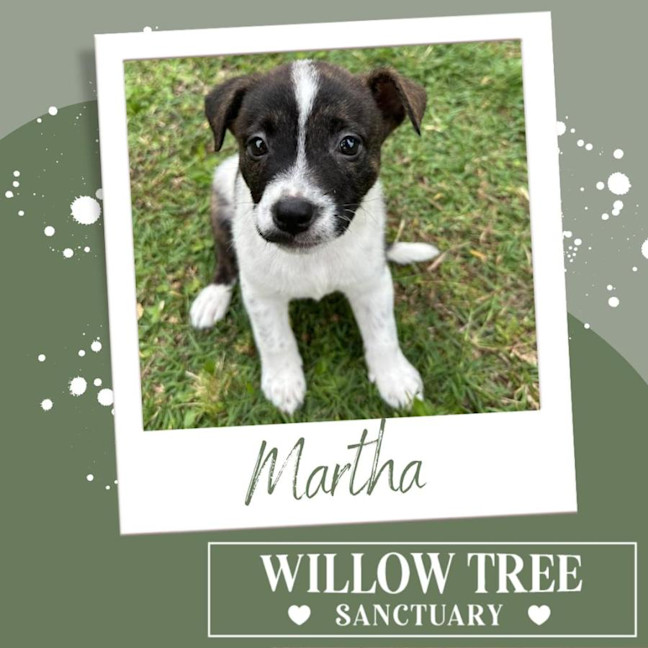 Photo of Martha
