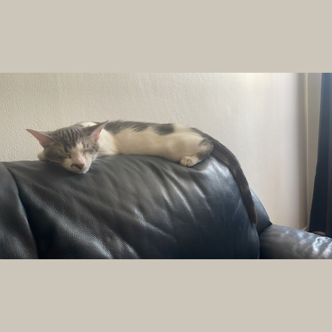 Photo of Oliver