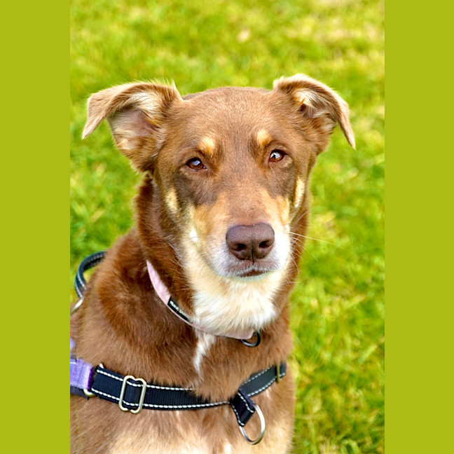 Photo of Maya