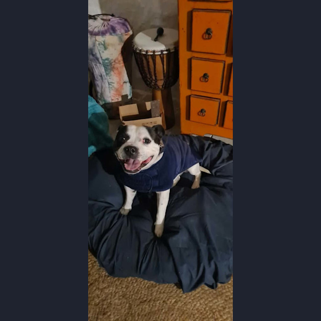 Photo of Benny