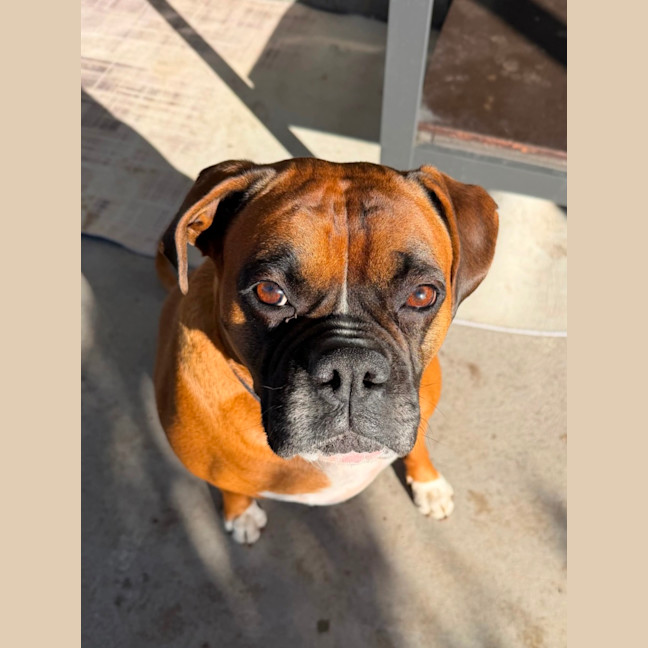 Photo of Allie Mae