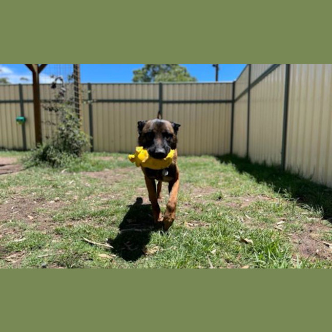 Photo of Remington