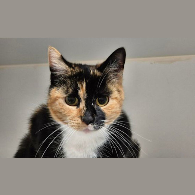 Photo of Esmeralda