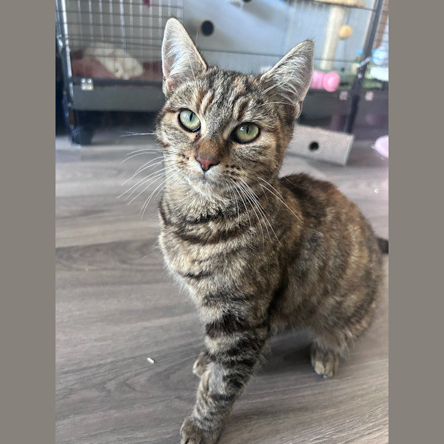 Photo of Isla