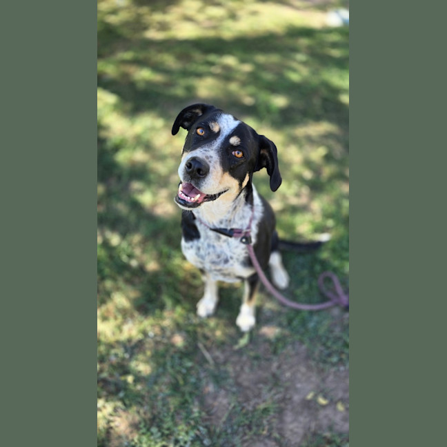 Photo of Milly