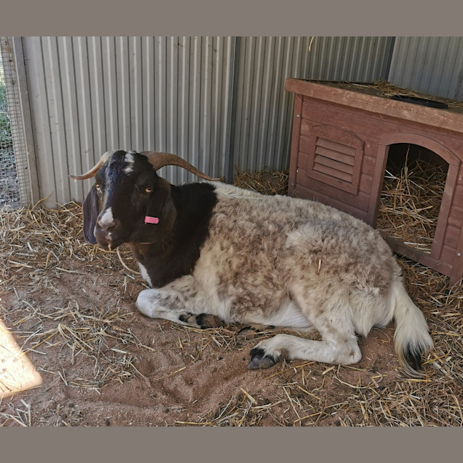 Photo of Carl