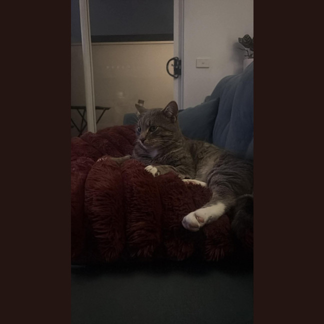 Photo of Albert 