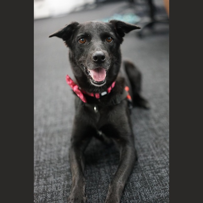 Photo of Marnie