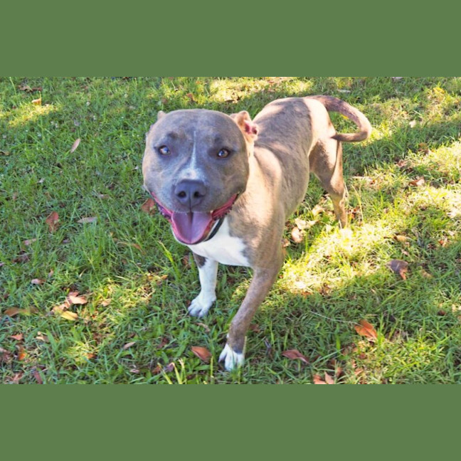 Photo of Storm